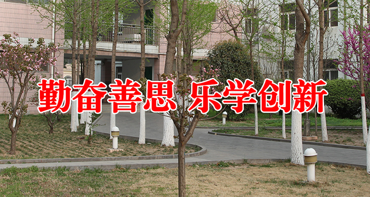新乡市第十中学